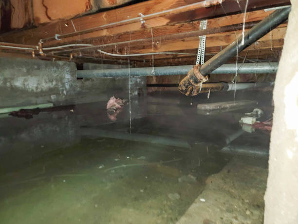 Best Residential Water Damage Restoration in Mint Hill, NC