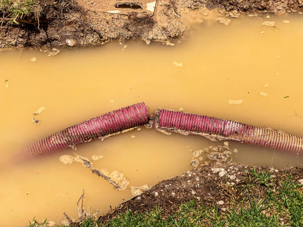 Best Storm and Flood Water Damage Restoration in Mint Hill, NC